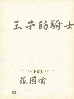 王子的骑士
