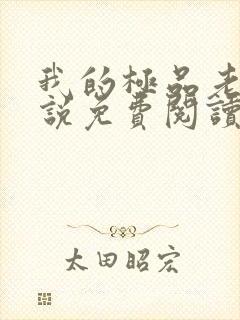 我的极品老婆小说免费阅读