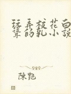 玩弄校花白嫩高耸的乳小说封面