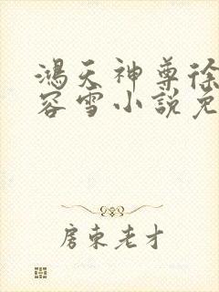 鸿天神尊徐年慕容雪小说免费阅读封面