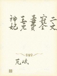 神王毒宠二嫁王妃免费全文阅读封面