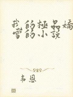 我的极品娇妻沈雪的小说封面