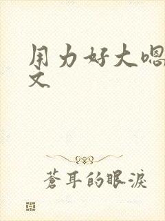 用力好大嗯啊h文