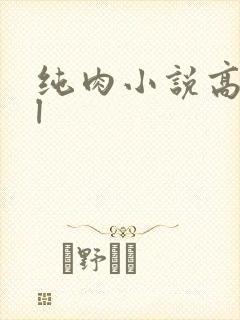 纯肉小说高hbl封面