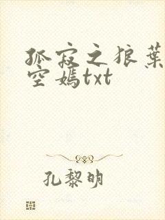 孤寂之狼叶凡司空嫣txt