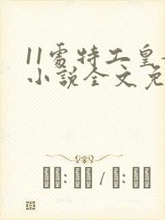 11处特工皇妃小说全文免费阅读无弹窗