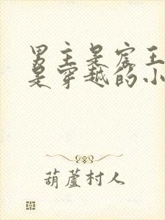 男主是宸王女主是穿越的小说