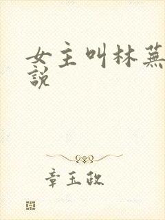 女主叫林芜的小说