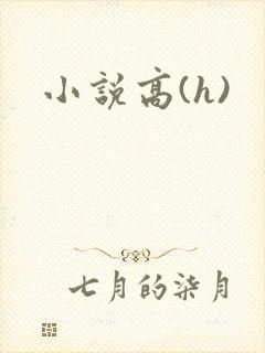小说高(h)
