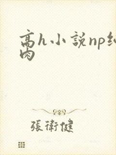 高h小说np纯肉封面