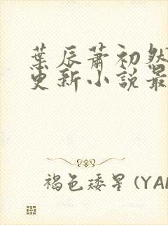 叶辰萧初然最快更新小说最新