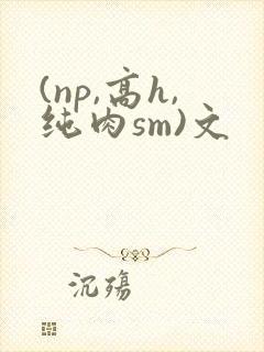 (np,高h,纯肉sm)文