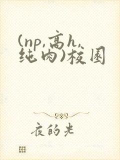 (np,高h,纯肉)校园