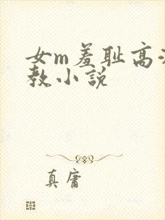 女m羞耻高潮调教小说封面