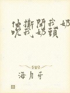 他撕开我奶罩揉吮我奶头