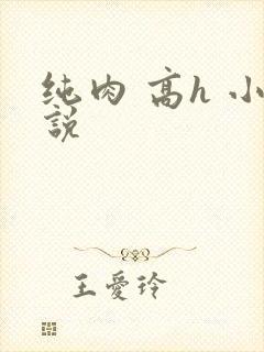 纯肉 高h 小说