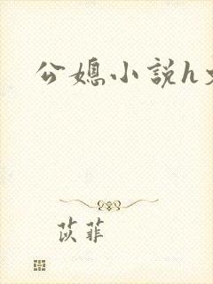 公媳小说h文