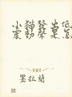 小猫发出低沉的震动声是怎么回事