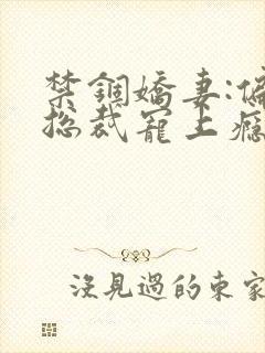 禁锢娇妻:偏执总裁宠上瘾