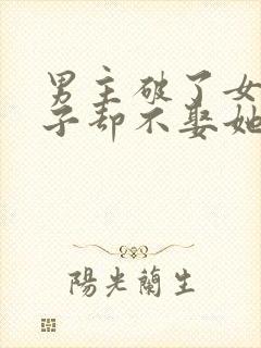 男主破了女主身子却不娶她的小说封面