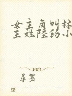 女主角叫林夏男主姓陆的小说