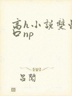 高h小说双性重口np