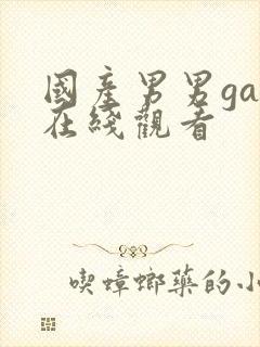 国产男男gay在线观看