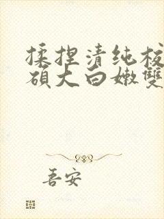 揉捏清纯校花的硕大白嫩双乳小说