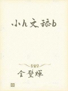 小h文舔b封面