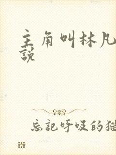 主角叫林凡的小说