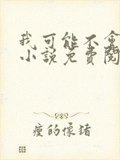 我可能不会爱你小说免费阅读