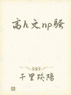 高h文np骚