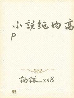 小说纯肉高hnp封面