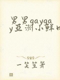 男男gaygay亚洲小鲜肉网站封面