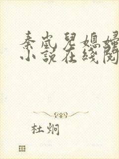 秦岚儿媳妇杨诚小说在线阅读