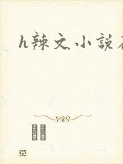 h辣文小说在线