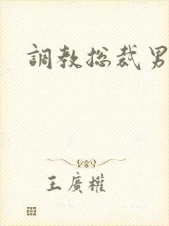 调教总裁男奴封面