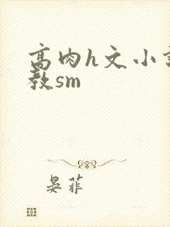 高肉h文小说调教sm