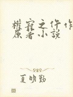 权宠之仵作医妃原著小说