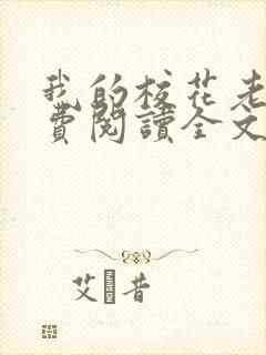 我的校花老婆免费阅读全文封面