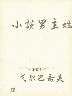 小说男主姓徐封面
