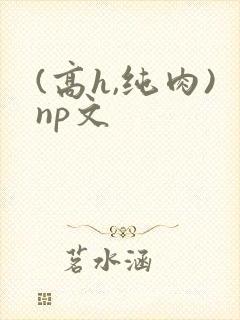 (高h,纯肉)np文