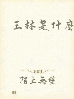 王林是什么境界