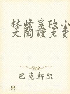 林峰宁欣小说全文阅读免费阅读