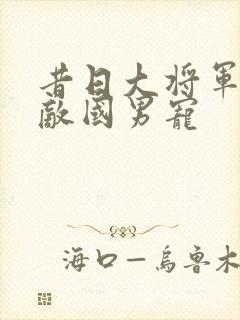 昔日大将军沦为敌国男宠