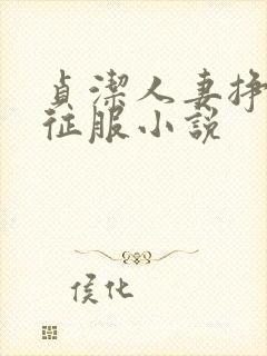 贞洁人妻挣扎被征服小说封面