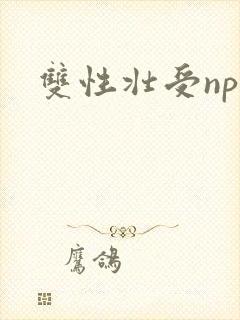 双性壮受np文