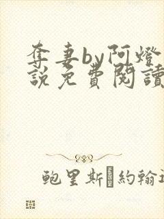 夺妻by阿灯小说免费阅读笔趣阁封面