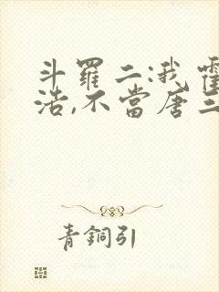 斗罗二:我霍雨浩,不当唐三女婿封面