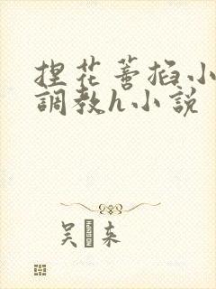 捏花蒂掐小珍珠调教h小说封面